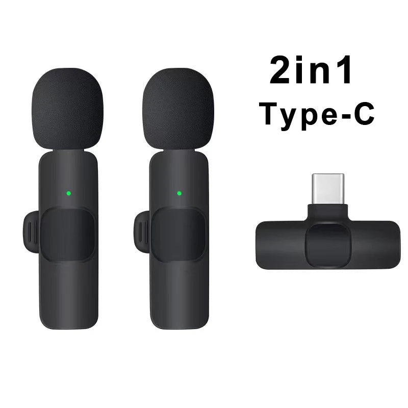 Two black microphones and a Type-C adapter on a white background with '2in1 Type-C' text.